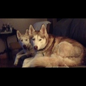 Meet your Posher, Robbie